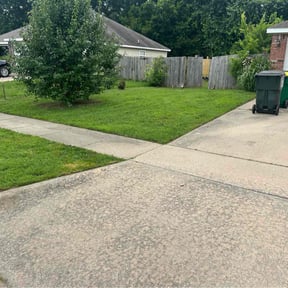 turf maintenance by A+ Lamonds lawn&landscape reviewed on August 16, 2025