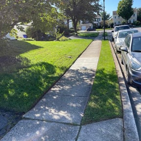 landscaping services by EV Great Valley Landscaping,LLC. reviewed on August 18, 2025