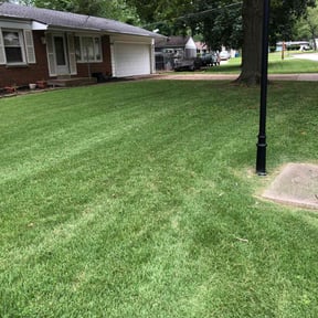 yard work by Delgado Landscaping and Garden reviewed on August 17, 2025