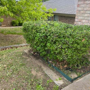 Bush Trimming by Royal Scenery LLC reviewed on March 24, 2024
