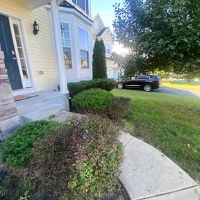 Bush Trimming by Best of Pros Lawn Service reviewed on November 6, 2025