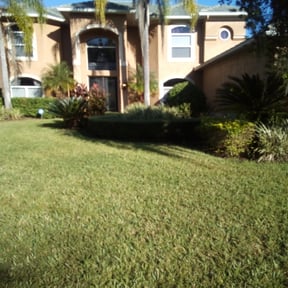 Bush Trimming by Gdt lawncare reviewed on August 21, 2025