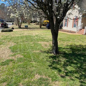 Leaf Removal by God's blessing reviewed on May 21, 2026