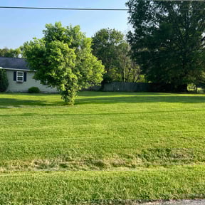 lawn service by Leo&#039;s Lawn Service reviewed on September 15, 2025