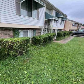 Bush Trimming by Daniel Reyes reviewed on December 26, 2025