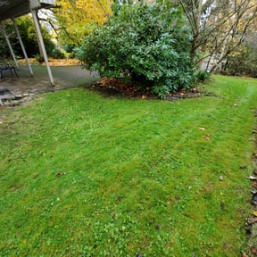 Leaf Removal by Hugheslandscaping reviewed on September 11, 2025