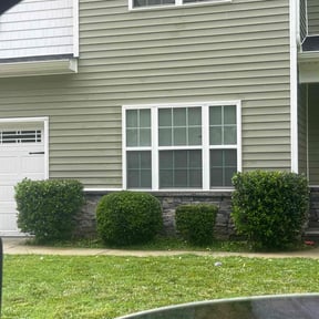 Bush Trimming by Loza Lawn Care  reviewed on August 19, 2025