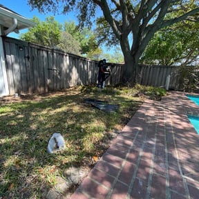 Leaf Removal by TSE LLC reviewed on September 16, 2025