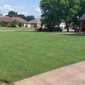 lawn maintenance by Tiaras Lawn care reviewed on November 3, 2020