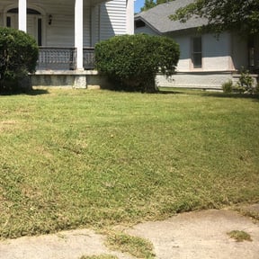 Bush Trimming by Nate's Scapes reviewed on August 21, 2025