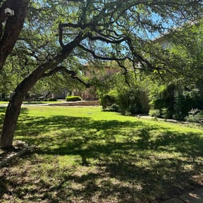 yard maintenance by Cosenzo Home Improvements and Landscaping reviewed on August 20, 2025