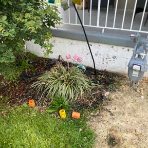 Flower Bed Weeding by Bone yard management reviewed on April 22, 2026