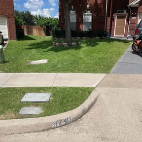 grass maintenance by Everyone&#039;s favorite lawn care reviewed on August 17, 2025