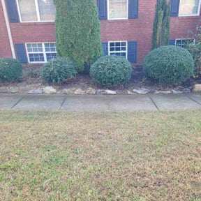 Flower Bed Weeding by 3DM reviewed on November 21, 2025