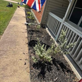 Flower Bed Weeding by Done For You Landscaping reviewed on October 23, 2025