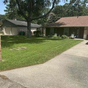 yard care by Alexis perez reviewed on August 21, 2025