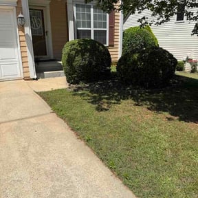Bush Trimming by Frederickson Lawn Management reviewed on June 5, 2026