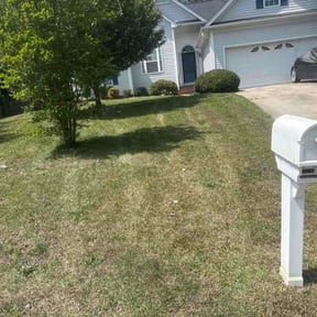 Bush Trimming by Brian Lienhart reviewed on April 22, 2026