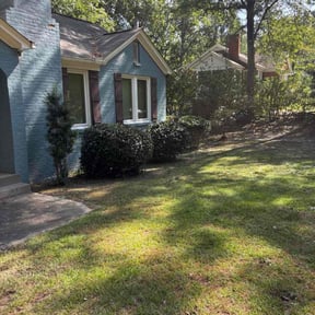 Bush Trimming by David landscaping services reviewed on November 4, 2025