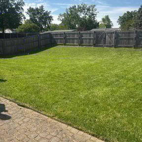 landscaping services by Quick Cutz LLC reviewed on August 21, 2025