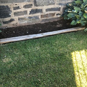 Flower Bed Weeding by IMPAKT Lawn Solutions reviewed on August 20, 2025