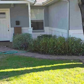 Bush Trimming by Chris Wimler reviewed on February 24, 2026