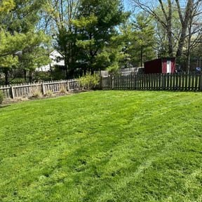 yard service by Paul Landis Dba Pro Turf Landscape and Lawn care reviewed on August 19, 2025