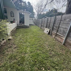 Leaf Removal by Main Crew Landscaping  reviewed on September 21, 2025