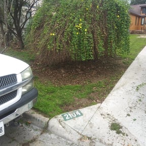 Bush Trimming by Goodfellas reviewed on August 17, 2025