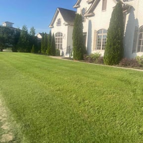 Long Grass Cleanup by Global Landscapers reviewed on August 19, 2025