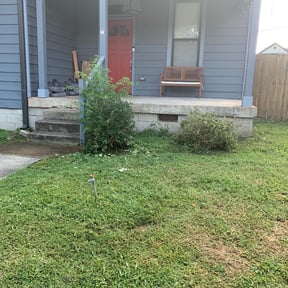 Bush Trimming by Blade cutter reviewed on August 15, 2025