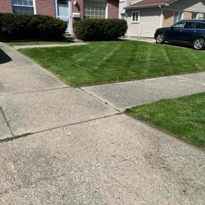 yard maintenance by Grass Baggers reviewed on August 18, 2025