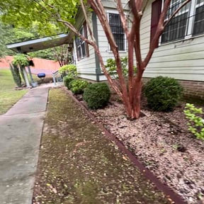 Bush Trimming by Liberty Landscaping reviewed on August 19, 2026