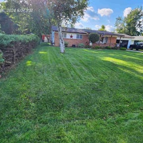 Lawn Treatment by  reviewed on October 22, 2025