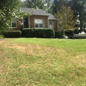 Bush Trimming by Cari Lawn Care reviewed on November 23, 2025