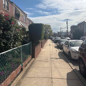 Bush Trimming by 66landscaping.com reviewed on December 15, 2025