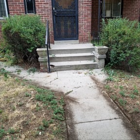 Bush Trimming by Vidco landscaping reviewed on August 15, 2025