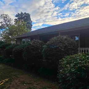 Bush Trimming by Delgado landscaping reviewed on May 27, 2025