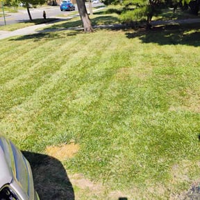 Bush Trimming by Fraire landscaping reviewed on November 22, 2025