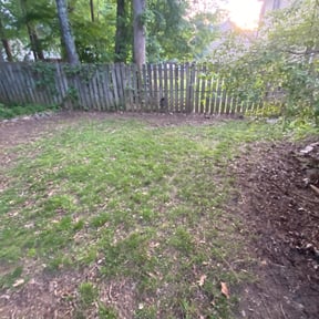 Leaf Removal by Gulf Coast Turf Pro reviewed on October 3, 2025
