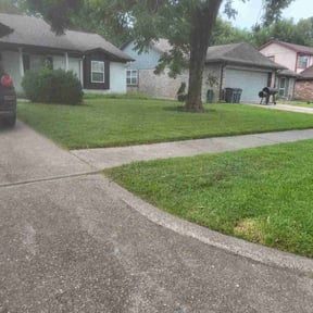 turf care by Tubby's Lawn Care Services, LLC reviewed on October 19, 2023