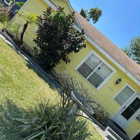 Bush Trimming by Lawncare tech reviewed on November 23, 2025