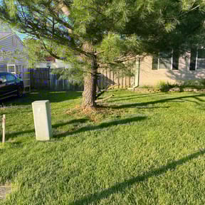 landscaping by Abel Baeza reviewed on August 17, 2025