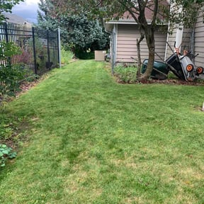 lawn care by Marcos handyman reviewed on April 6, 2024
