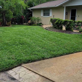 landscape maintenance by P&amp;D Landscaping. reviewed on January 1, 2026