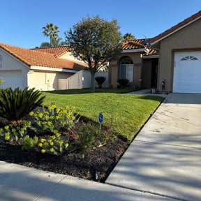 yard work by Hugo Lopez Landscaping reviewed on August 17, 2025