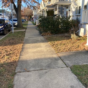 Leaf Removal by Lucero’s Landscaping reviewed on June 12, 2025