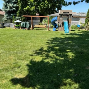 yard maintenance by All in one reviewed on August 15, 2025
