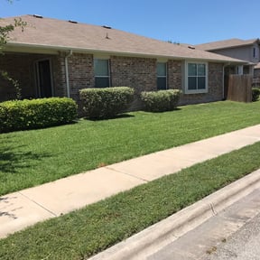 Bush Trimming by Scott Basinger lawn care reviewed on May 6, 2024