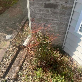 Bush Trimming by Tim's Discount Lawn reviewed on August 21, 2025